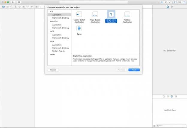 This method is called Sideloading with Xcode and iOS App Signer